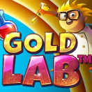 Gold Lab